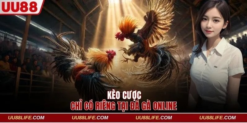 Các kèo cược hấp dẫn chỉ có riêng tại đá gà online